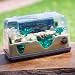 Discovery Exclusive Frog Pond Habitat Discovery Exclusive Frog Pond Habitat
