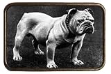 Unisex BULLDOG Metal Belt Buckle Style BU182