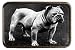 Unisex BULLDOG Metal Belt Buckle Style BU182