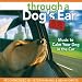 Through a Dog's Ear - Driving Edition