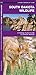 South Dakota Wildlife: A Folding Pocket Guide to Familiar Species (Pocket Naturalist Guide Series)