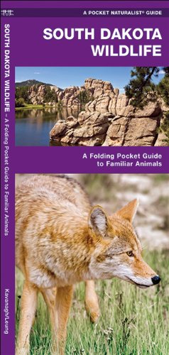 South Dakota Wildlife: A Folding Pocket Guide to Familiar Species (Pocket Naturalist Guide Series)