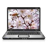 HP Pavilion DV6445US 15.4" Laptop (AMD Turion 64 Processor TL56, 2 GB RAM, 160 GB Hard Drive, Vista Premium)