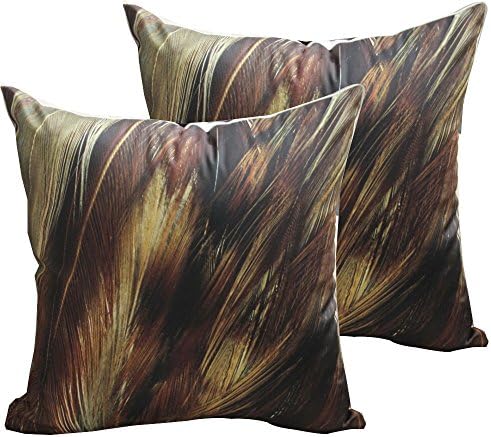 Yoovimin ®2pcs Throw Pillow Case Decorative Cushion Cover Pillowcase for Sofa Feather 18 "X18 " (Feather 5)