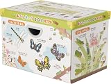 おべんきょうBOX Mサイズ むし