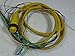 Allen-Bradley 889N-F7AG-5 Cord Set Mini Plus