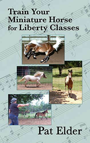 Train Your Miniature Horse for Liberty Classes