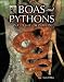 Boas and Pythons of the World