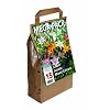 Lilies Mixed Colours Big Buy Pack (Pack of 15)