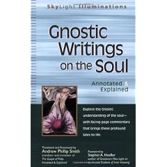 Gnostic Writings On The Soul (Skylight Illuminations)