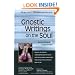 Gnostic Writings on the Soul: Annotated & Explained (Skylight Illuminations)