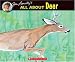 All About Deer (All About Series)