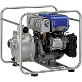 Yamaha Water Pump - 160 GPM, 4 HP, 2in., Model# YP20GH