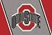 Ohio State Buckeyes "Red O" 3' 10" x 5' 4" Team Spirit Area Rug