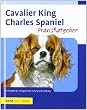 king charles hunde