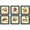 Pimpernel Hooker Fruits Coasters - Set of 6