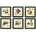 Pimpernel Hooker Fruits Coasters - Set of 6