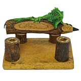 Hand-Painted Carved Wood Iguana Desktop Pen & Card Holder
