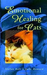 Emotional Healing for Cats
