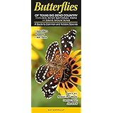 butterflies of texas big bend country incl big bend national park  davis mtns a guide to common  notable