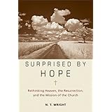 surprised by hope rethinking heaven the resurrection and the mission of the church