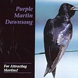 Purple Martin Dawnsong - For attracting martins!