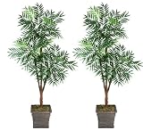 Two 6' Phoenix Tripled Artificial Trees Silk Plants, with No Pot, Minor Assembly Required.