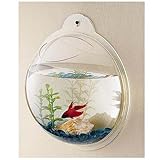 Wall Mount Hanging Beta Fish Bubble Aquarium Bowl Tank