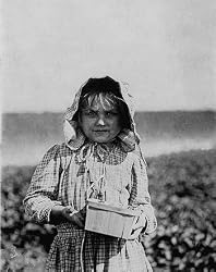 A Delaware Strawberry Picker, 1910 Photograph - Beautiful 16"x20" Photographic Print from the Library of Congress Collection