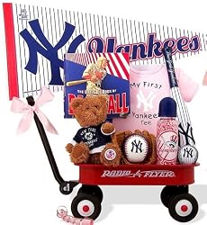 NY Yankees Baseball Girl Radio Flyer Baby Wagon and Little Big Book of Baseba...