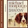 Shadow
