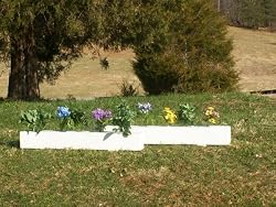 Wood Flower Box Horse Jumps Set/2 10ft