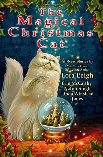 the magical christmas cat