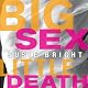 Big Sex Little Death: A Memoir