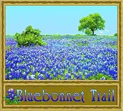 Bluebonnet Trail Coverlet