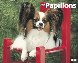 Just Papillons 2010 Wall Calendar