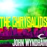 The Chrysalids