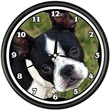 BOSTON TERRIER Wall Clock dog doggie pet breed gift