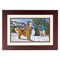 HP DF1130A1 11.3-Inch Digital Picture Frame (Mahogany Wood Double Mats)