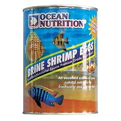 Brine Shrimp Eggs - 16 oz. - Can