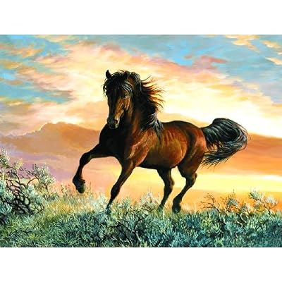 Fire in the Sky 500pc Jigsaw Puzzle by Persis Clayton Weirs