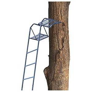 hunting ladder stand stands tree
