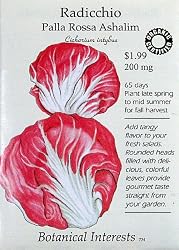 Radicchio Certified Organic Seeds 120 Seeds
