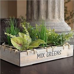 Spring Mixed Greens - Coleus, Grass and Wild Thyme