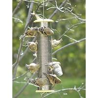 Birds Choice 1 Quart Stainless Steel Nyjer Bird Feeder
