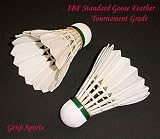 Shuttlecock