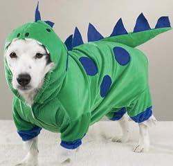 LARGE - Dogzilla Dog Costume