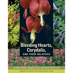 Bleeding Hearts, Corydalis, and Their Relatives