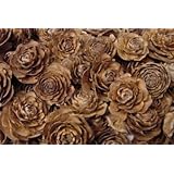 Cedar Roses (Tree Cones) 1lb