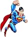 Search : RoomMates RMK1156GM Superman: Day Of Doom Peel & Stick Giant Wall Decal